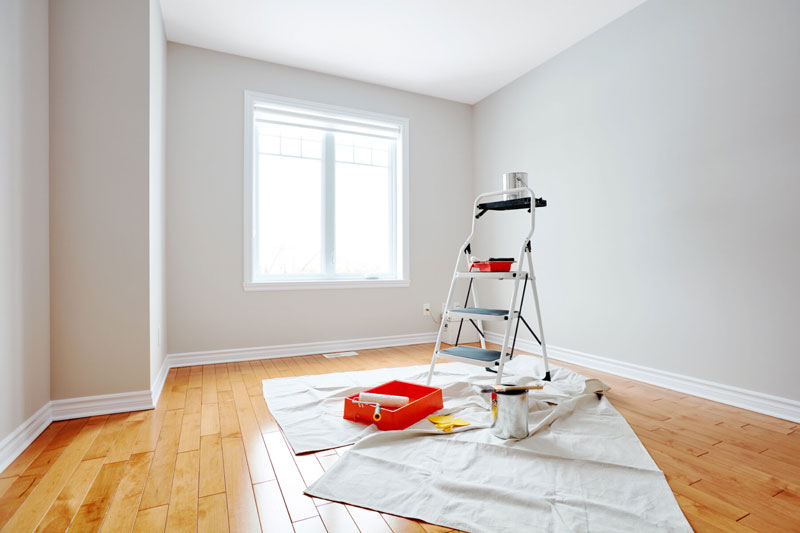 boardandbrushexperts